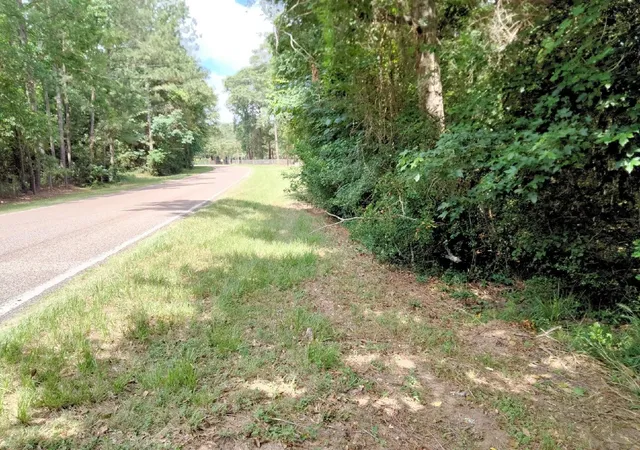 Photo 2 of Land for sale at 19300 Mount Pleasant Rd, Montgomery, TX 77356 | MLS# 77442880 | Listing updated on 2026-08-28