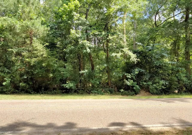 Photo 3 of Land for sale at 19300 Mount Pleasant Rd, Montgomery, TX 77356 | MLS# 77442880 | Listing updated on 2026-08-28