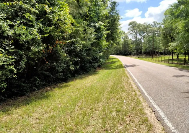 Photo 3 of Land for sale at 19300 Mount Pleasant Rd, Montgomery, TX 77356 | MLS# 77442880 | Listing updated on 2026-08-28