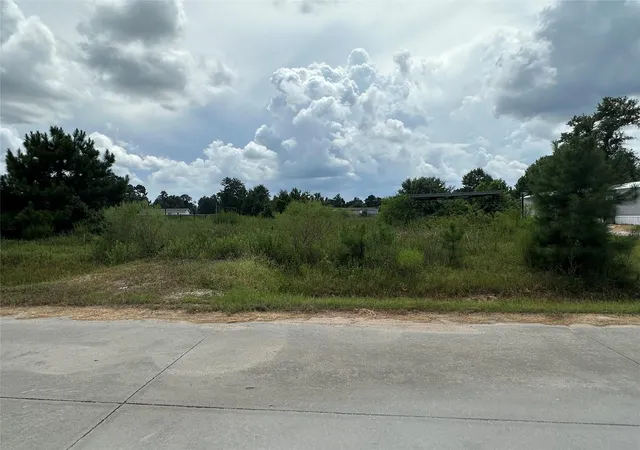 Photo 3 of Land for sale at 257 County Road 5025, Cleveland, TX 77327 | MLS# 58291901 | Listing updated on 2026-08-29