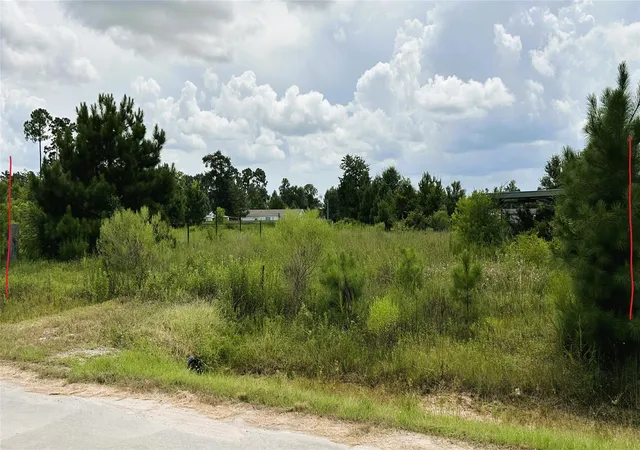 Photo 3 of Land for sale at 257 County Road 5025, Cleveland, TX 77327 | MLS# 58291901 | Listing updated on 2026-08-29