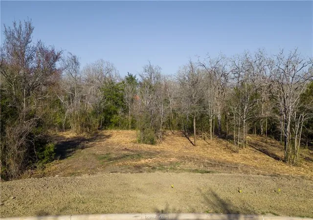 1st image of 3325 Stephans Crossing, Bryan, TX 77807 | MLS# 28703536
