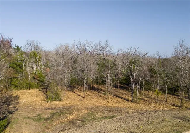 2nd image of 3325 Stephans Crossing, Bryan, TX 77807 | MLS# 28703536