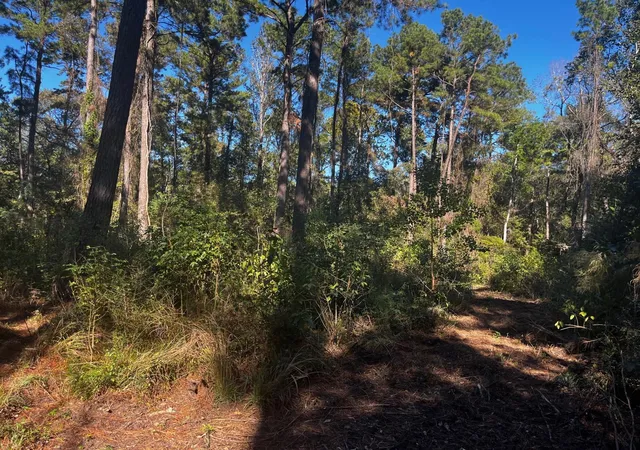 Photo 4 of Land for sale at 0 Stella Ln, Tomball, TX 77375 | MLS# 6417509 | Listing updated on 2026-09-08