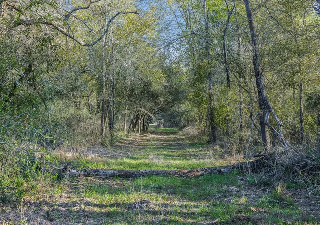 2nd image of 1746 County Road 103, Columbus, TX 78934 | MLS# 89637253