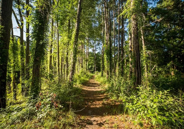 Photo 15 of Land for sale at 0 Stagecoach Cir, Huntsville, TX 77340 | MLS# 53896454 | Listing updated on 2026-08-25