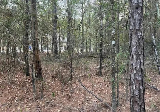 Photo 1 of Land for sale at 0 Stagecoach Cir, Huntsville, TX 77340 | MLS# 53896454 | Listing updated on 2026-08-25