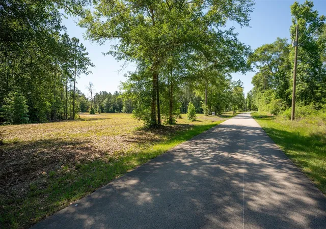 Homes for sale in Warren, TX | Tbd County Road 4472, Warren, TX 77664 | MLS# 77101697