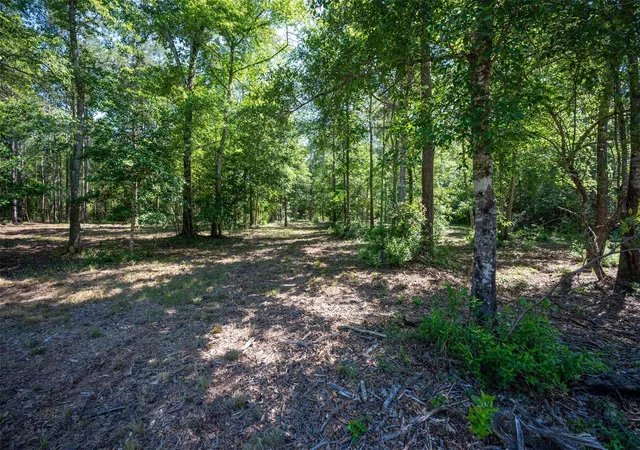 Homes for sale in Warren, TX | Tbd County Road 4472, Warren, TX 77664 | MLS# 77101697