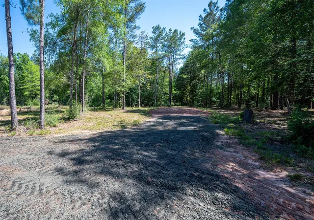 Homes for sale in Warren, TX | Tbd County Road 4472, Warren, TX 77664 | MLS# 77101697