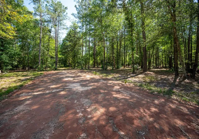 Homes for sale in Warren, TX | Tbd County Road 4472, Warren, TX 77664 | MLS# 77101697