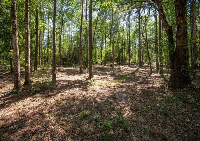 Homes for sale in Warren, TX | Tbd County Road 4472, Warren, TX 77664 | MLS# 77101697
