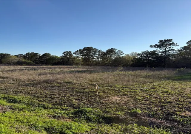 Homes for sale in Plantersville, TX | 9480 Cedar Creek Ln, Plantersville, TX 77363 | MLS# 63095988
