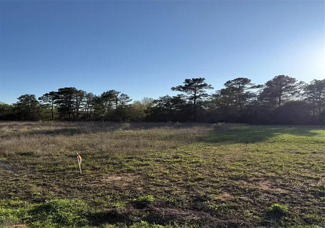 Homes for sale in Plantersville, TX | 9480 Cedar Creek Ln, Plantersville, TX 77363 | MLS# 63095988