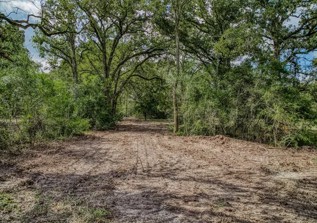 37th image of Tbd Sun Oil Rd, Brenham, TX 77833 | MLS# 5306948