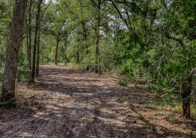 3rd image of Tbd Sun Oil Rd, Brenham, TX 77833 | MLS# 5306948