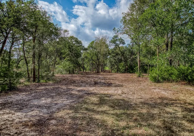 4th image of Tbd Sun Oil Rd, Brenham, TX 77833 | MLS# 5306948