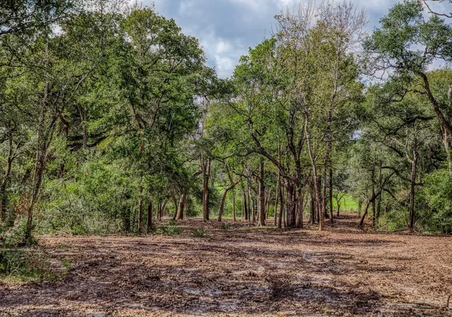 5th image of Tbd Sun Oil Rd, Brenham, TX 77833 | MLS# 5306948