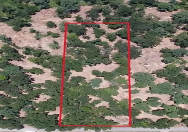 Photo 2 of Land for sale at 000 Crowley Rd, Conroe, TX 77306 | MLS# 86782032 | Listing updated on 2026-07-19