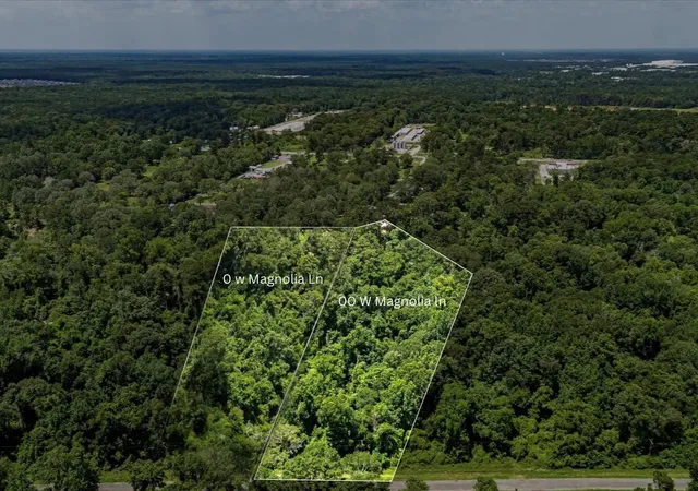 Homes for sale in New Caney, TX | 0 W Magnolia Ln, New Caney, TX 77357 | MLS# 73137022