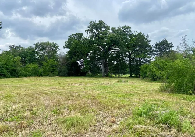 1st image of Lot 3 County Road 137, Caldwell, TX 77836 | MLS# 749188