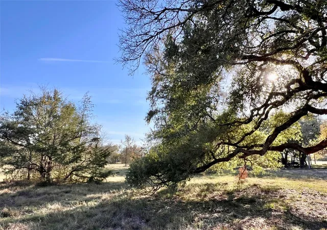 20th image of Lot 3 County Road 137, Caldwell, TX 77836 | MLS# 749188