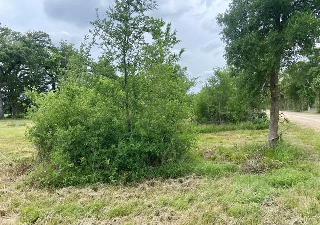 3rd image of Lot 3 County Road 137, Caldwell, TX 77836 | MLS# 749188