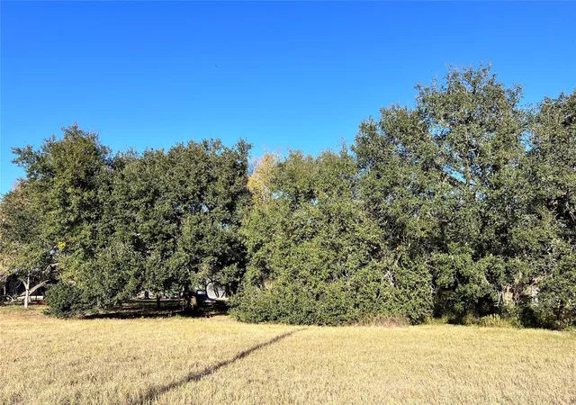 5th image of Lot 3 County Road 137, Caldwell, TX 77836 | MLS# 749188
