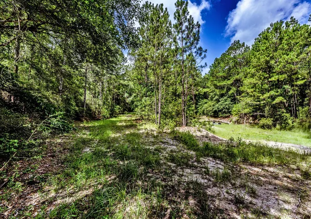 Homes for sale in Groveton, TX | 1030 Scott Rd, Groveton, TX 75845 | MLS# 5350633