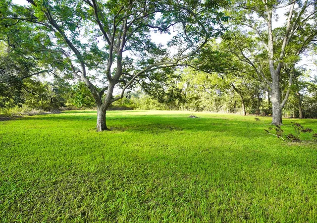 Photo 4 of Single family home for sale at 1203 County Rd 677, Brazoria, TX 77422 | MLS# 8085878 | Listing updated on 2026-07-15