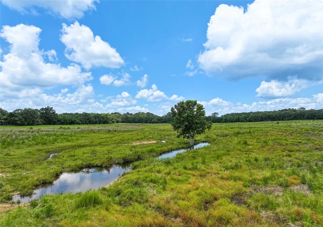 Homes for sale in Kirbyville, TX | 0 County Road 547, Kirbyville, TX 75956 | MLS# 84088159