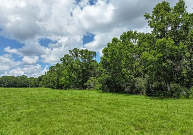 Homes for sale in Kirbyville, TX | 0 County Road 547, Kirbyville, TX 75956 | MLS# 84088159