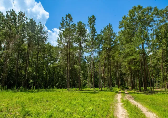 Homes for sale in Kirbyville, TX | 0 County Road 547, Kirbyville, TX 75956 | MLS# 84088159