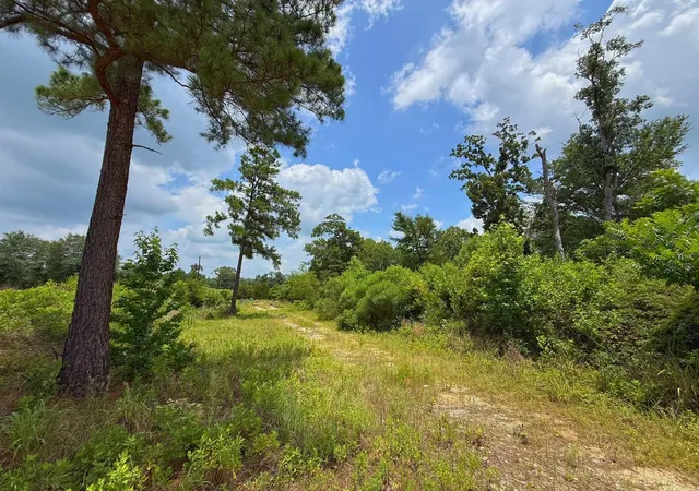 Homes for sale in Centerville, TX | 13 Ac Cr 2012, Centerville, TX 75833 | MLS# 17316762