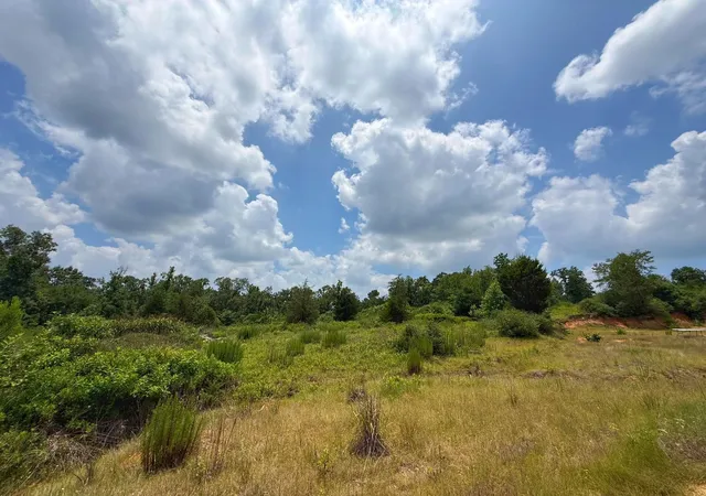 Homes for sale in Centerville, TX | 13 Ac Cr 2012, Centerville, TX 75833 | MLS# 17316762