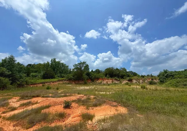 Homes for sale in Centerville, TX | 13 Ac Cr 2012, Centerville, TX 75833 | MLS# 17316762