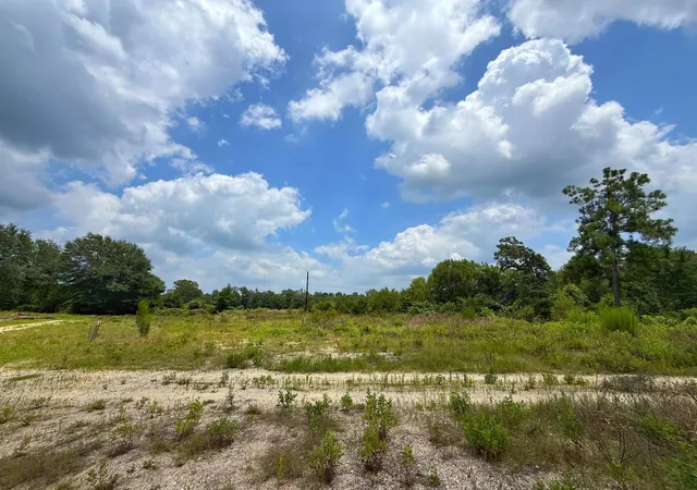 Homes for sale in Centerville, TX | 13 Ac Cr 2012, Centerville, TX 75833 | MLS# 17316762