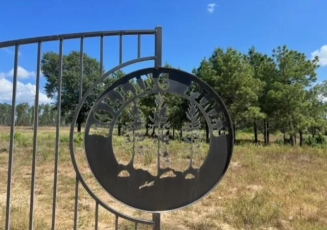 Land for sale at Tbd Reveille Rd, Livingston, TX 77351 | MLS# 13085465