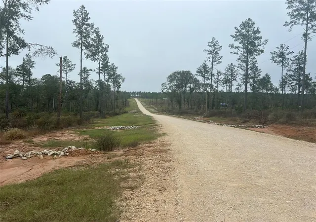 Photo 1 of Land for sale at Tbd Reveille Rd, Livingston, TX 77351 | MLS# 13085465 | Listing updated on 2026-09-18