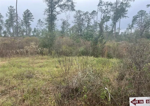 Photo 2 of Land for sale at Tbd Reveille Rd, Livingston, TX 77351 | MLS# 13085465 | Listing updated on 2026-09-18
