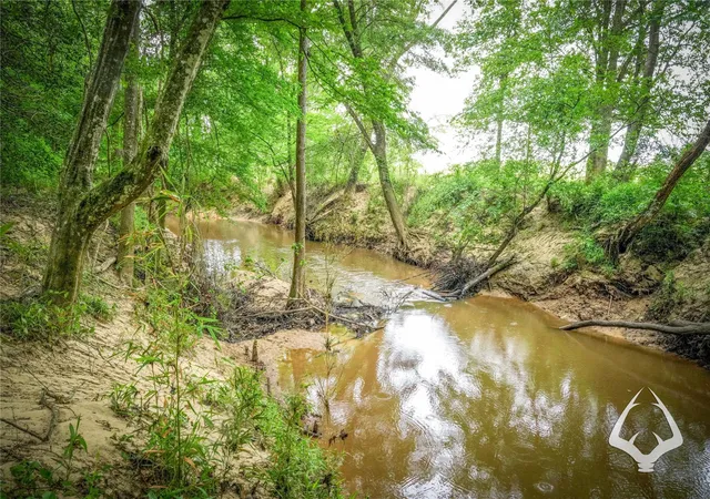 Land for sale at 00 Dorsey Road, Hemphill, TX 75948 | MLS# 33919685