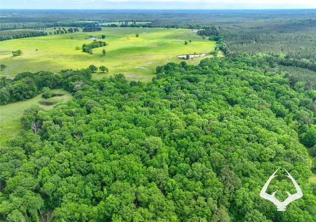 Photo 2 of Land for sale at 00 Dorsey Road, Hemphill, TX 75948 | MLS# 33919685 | Listing updated on 2026-08-29