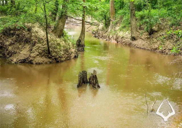 Photo 3 of Land for sale at 00 Dorsey Road, Hemphill, TX 75948 | MLS# 33919685 | Listing updated on 2026-08-29