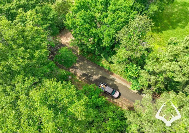 Photo 3 of Land for sale at 00 Dorsey Road, Hemphill, TX 75948 | MLS# 33919685 | Listing updated on 2026-08-29