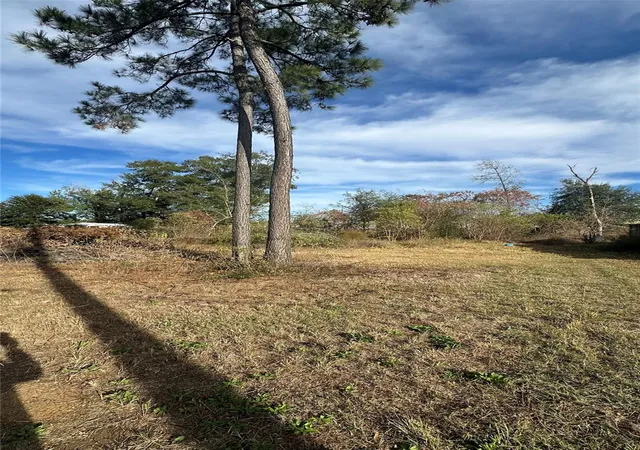 Photo 4 of Land for sale at 7119 Jessica Leann Dr, Conroe, TX 77306 | MLS# 93733279 | Listing updated on 2026-01-01