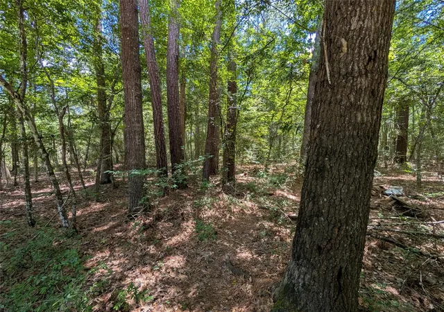 Photo 2 of Land for sale at 0 Road 2721, Cleveland, TX 77327 | MLS# 62310092 | Listing updated on 2026-07-09