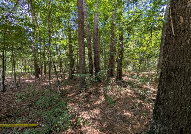 Photo 3 of Land for sale at 0 Road 2721, Cleveland, TX 77327 | MLS# 62310092 | Listing updated on 2026-07-09