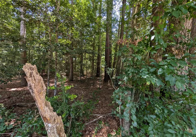 Photo 3 of Land for sale at 0 Road 2721, Cleveland, TX 77327 | MLS# 62310092 | Listing updated on 2026-07-09