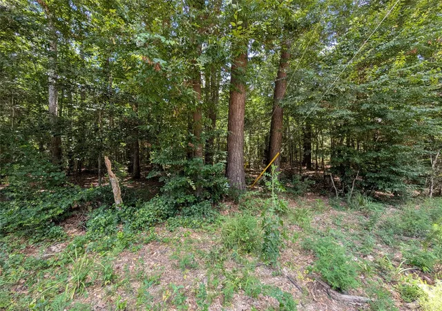 Photo 4 of Land for sale at 0 Road 2721, Cleveland, TX 77327 | MLS# 62310092 | Listing updated on 2026-07-09
