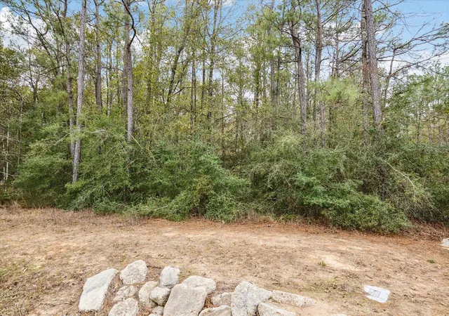 Photo 3 of Land for sale at 0 Bronco Ln, Waller, TX 77484 | MLS# 43244004 | Listing updated on 2026-08-06